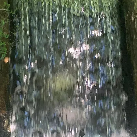 D Hotes Libellule, Coeur Du Perche