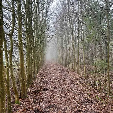 Bed & Breakfast D Hotes Libellule, Coeur Du Perche Rémalard