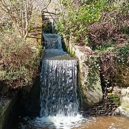 Bed & Breakfast D Hotes Libellule, Coeur Du Perche 3*