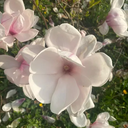 D Hotes Libellule, Coeur Du Perche 3* Rémalard