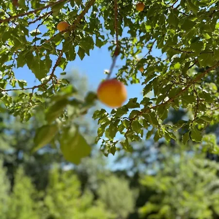 D Hotes Libellule, Coeur Du Perche Bed & Breakfast