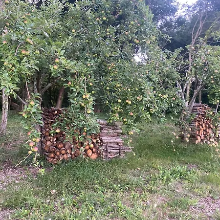 D Hotes Libellule, Coeur Du Perche 3* Rémalard