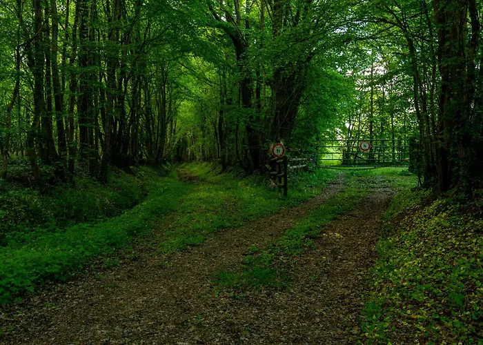 D Hotes Libellule, Coeur Du Perche