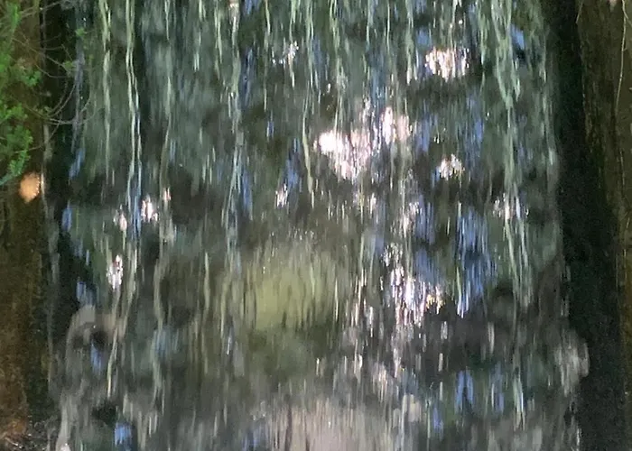 D Hotes Libellule, Coeur Du Perche