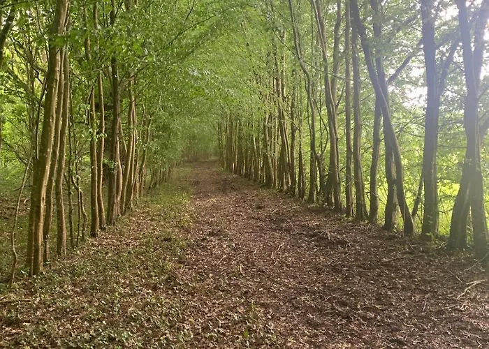 D Hotes Libellule, Coeur Du Perche Bed & Breakfast Rémalard