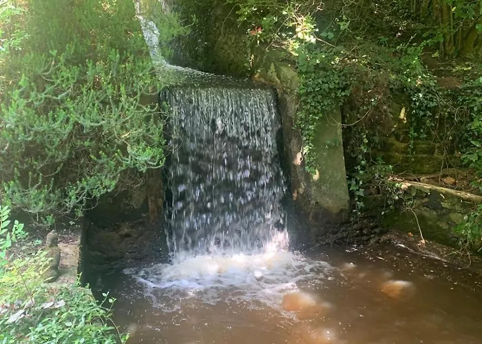 D Hotes Libellule, Coeur Du Perche Bed & Breakfast Rémalard