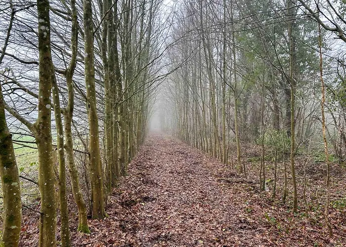 Bed & Breakfast D Hotes Libellule, Coeur Du Perche Rémalard