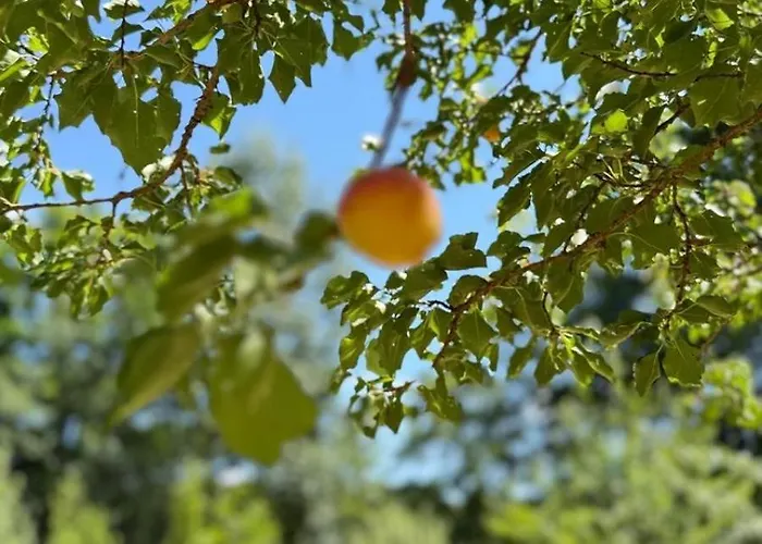 D Hotes Libellule, Coeur Du Perche Bed & Breakfast